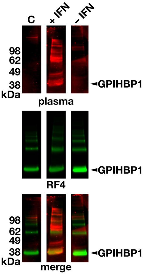 Figure 5.