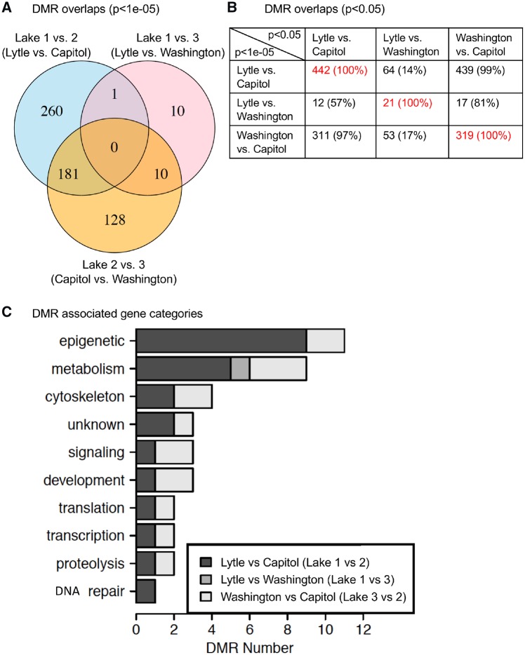 Figure 7: