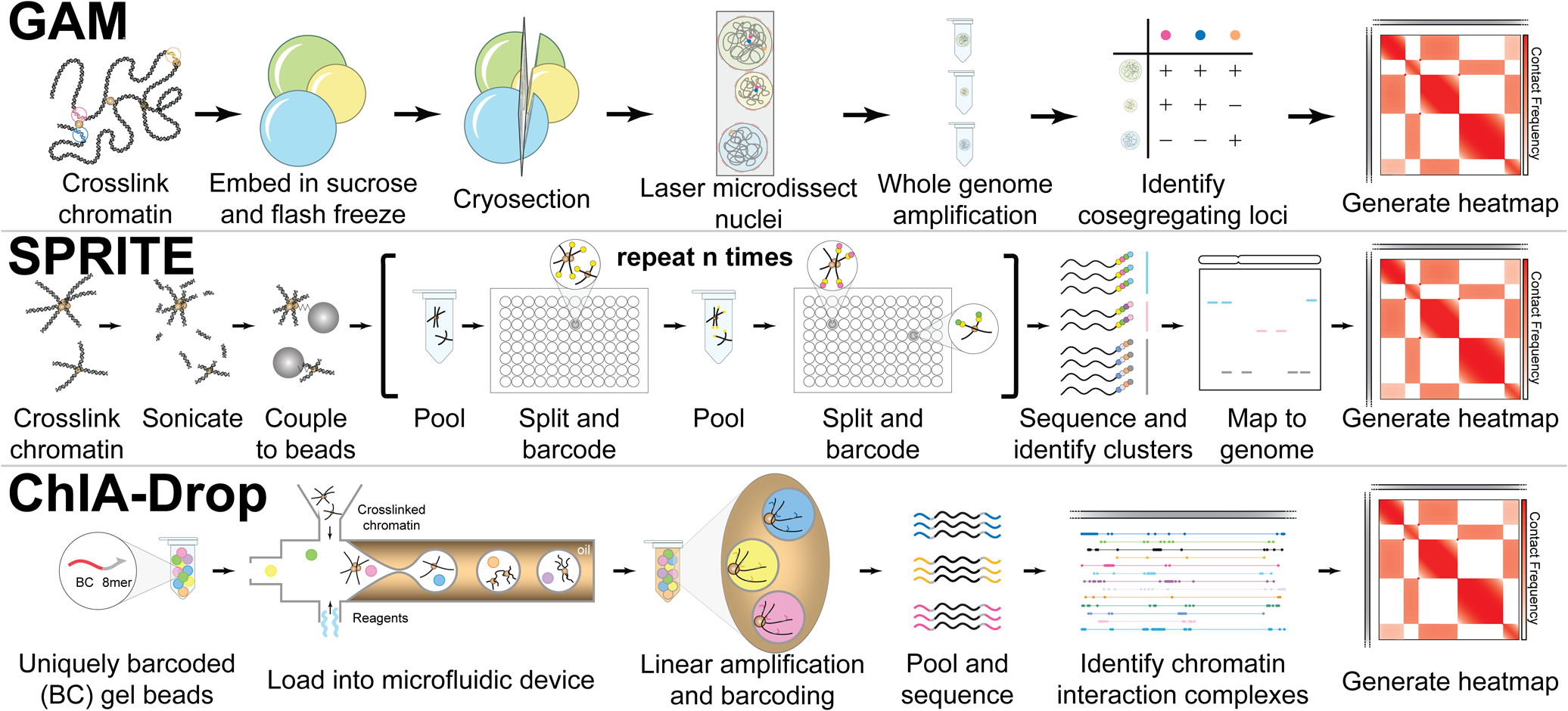 graphic file with name nihms-1567380-f0002.jpg
