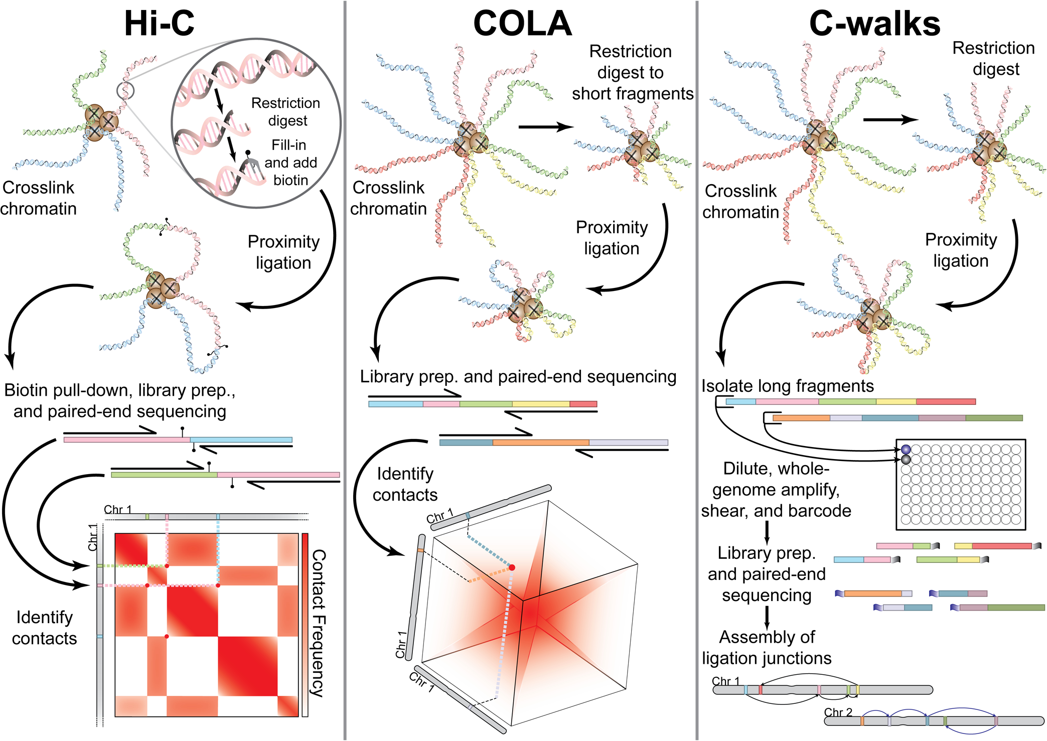 graphic file with name nihms-1567380-f0001.jpg