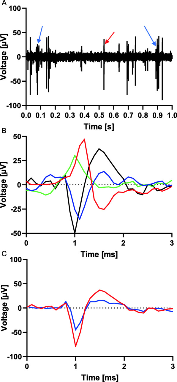 Fig. 2