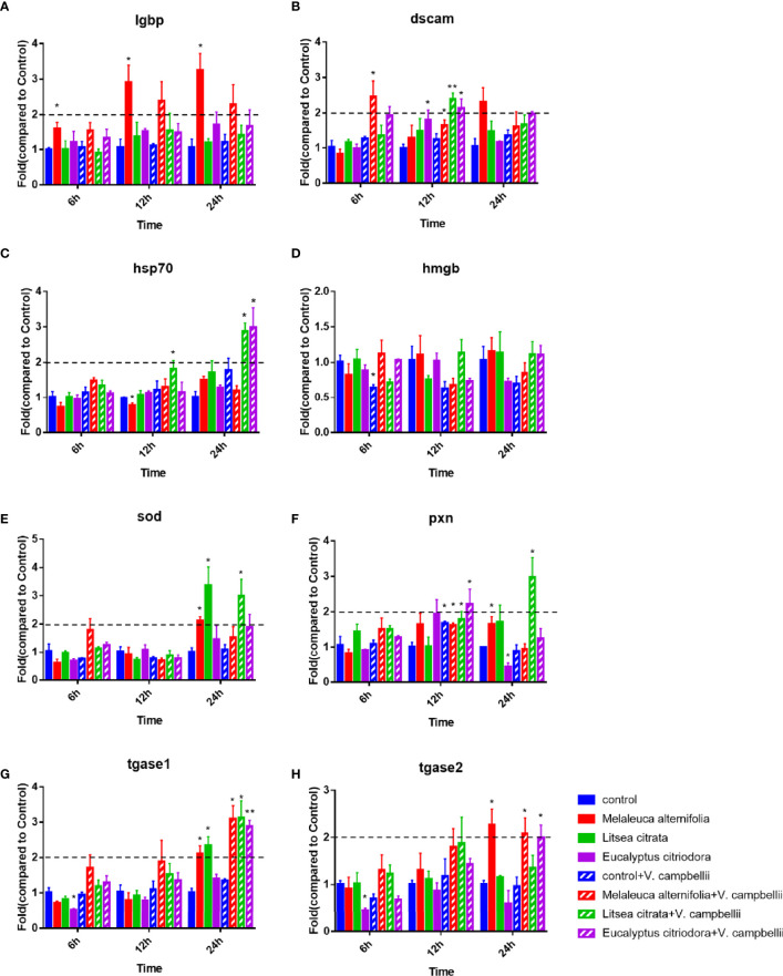 Figure 3