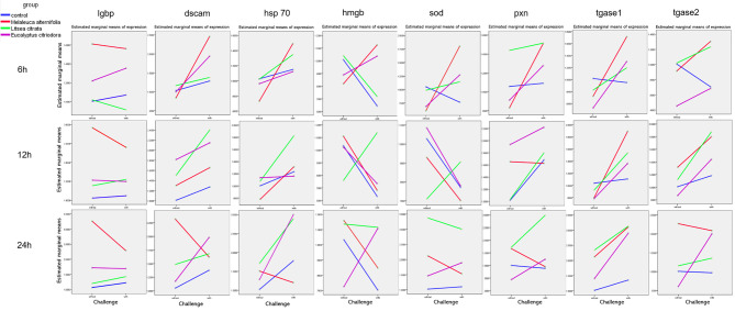 Figure 4