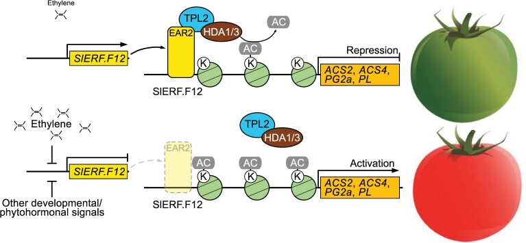 Figure 11