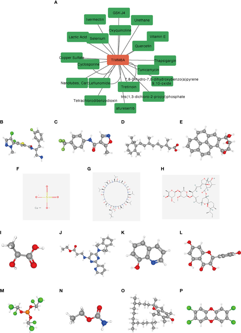 Figure 12