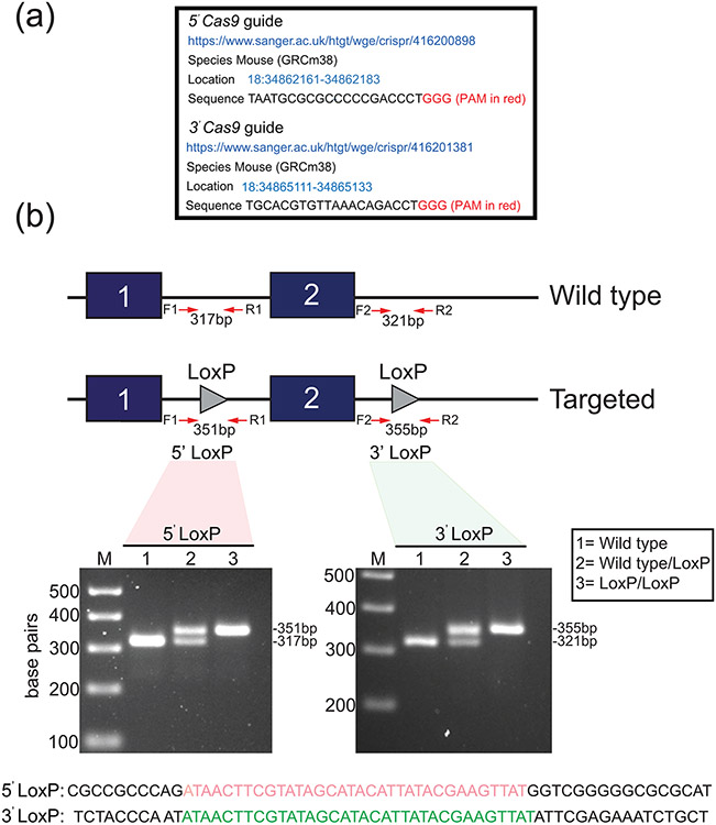 FIGURE 3