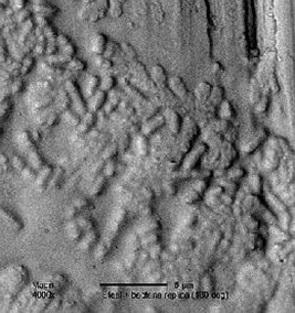 FIGURE 4.7