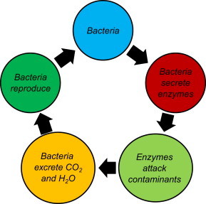 FIGURE 4.1
