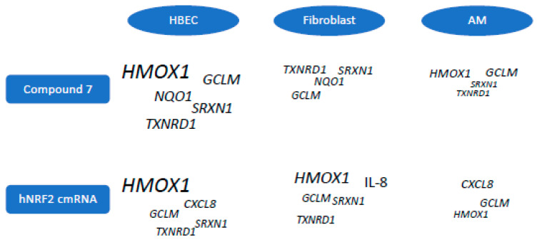 Figure 7