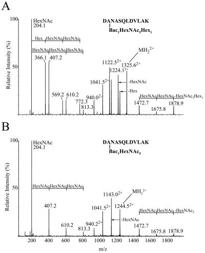 FIG. 5.