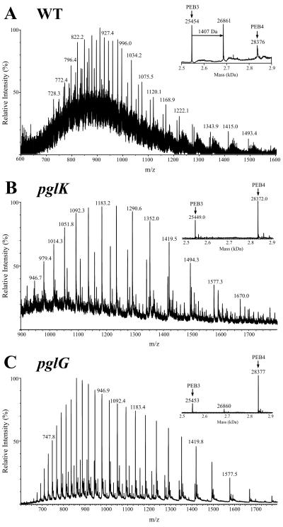 FIG. 4.