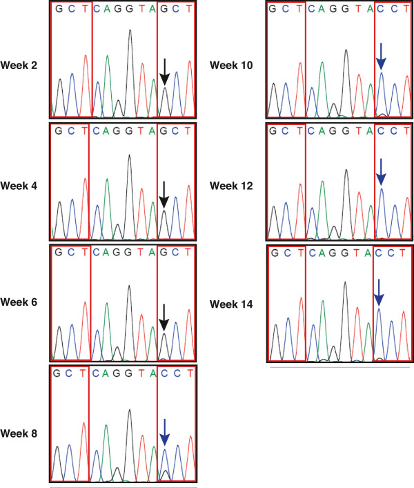 Figure 9