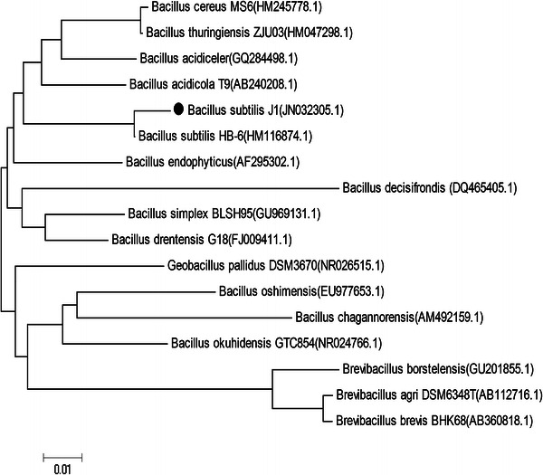 Fig. 2