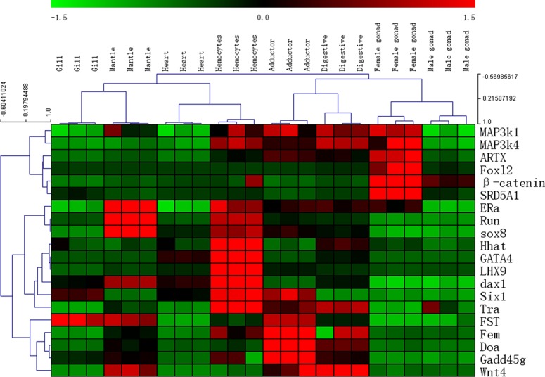 Fig 6