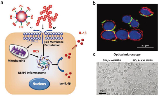 Figure 17
