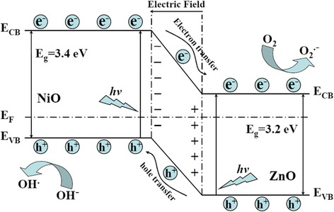 Fig. 8