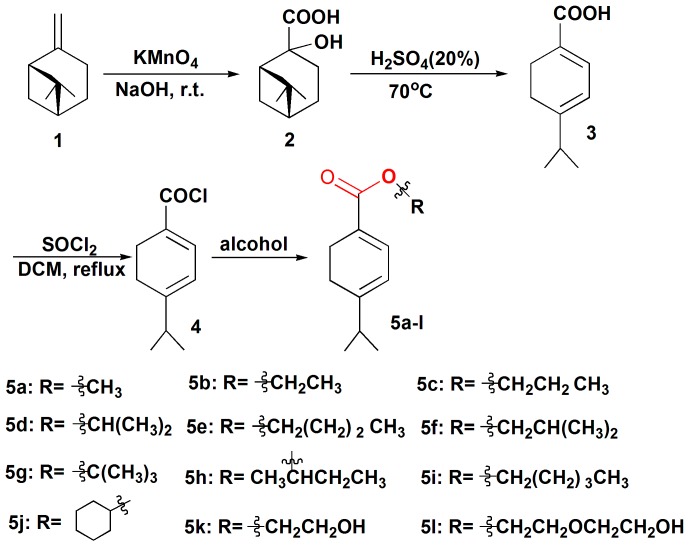 Scheme 1