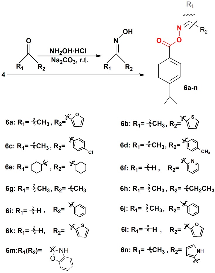 Scheme 2