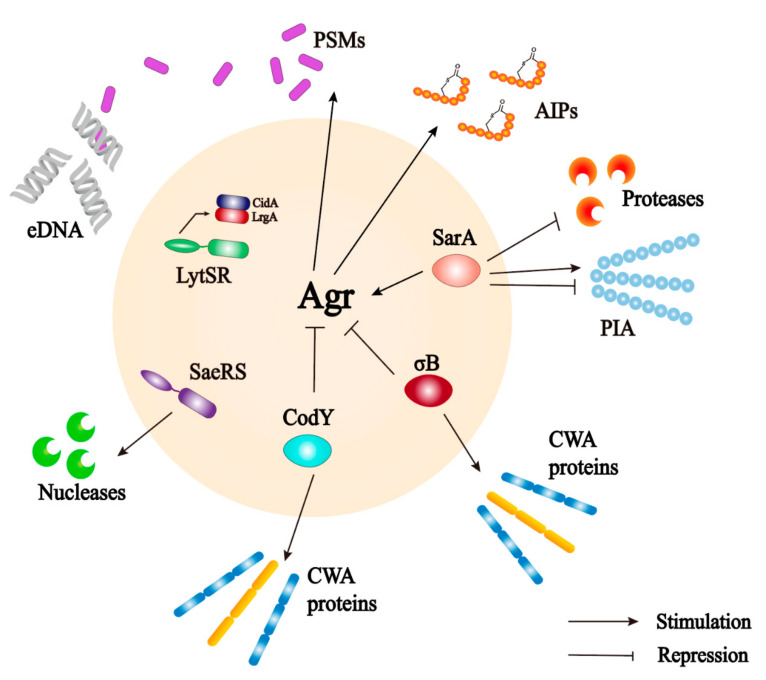 Figure 5