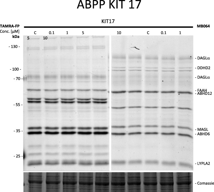 Fig. 5