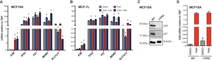 FIG 3