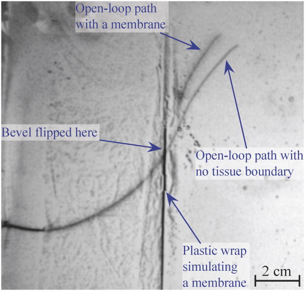 Fig. 12