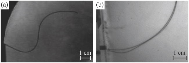 Fig. 10