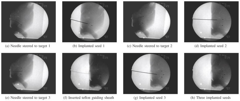 Fig. 8