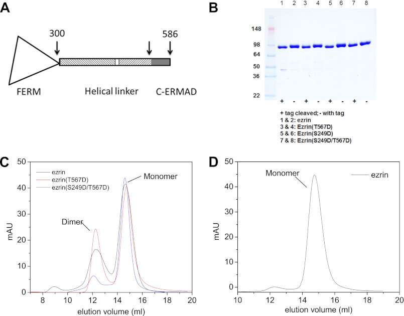 FIGURE 1.