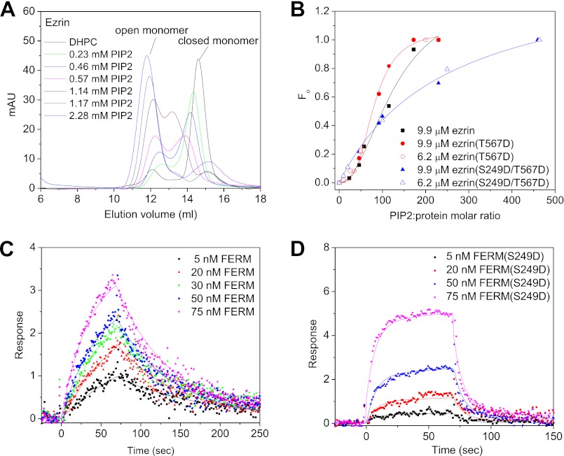 FIGURE 4.