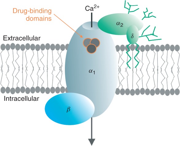 FIGURE 1