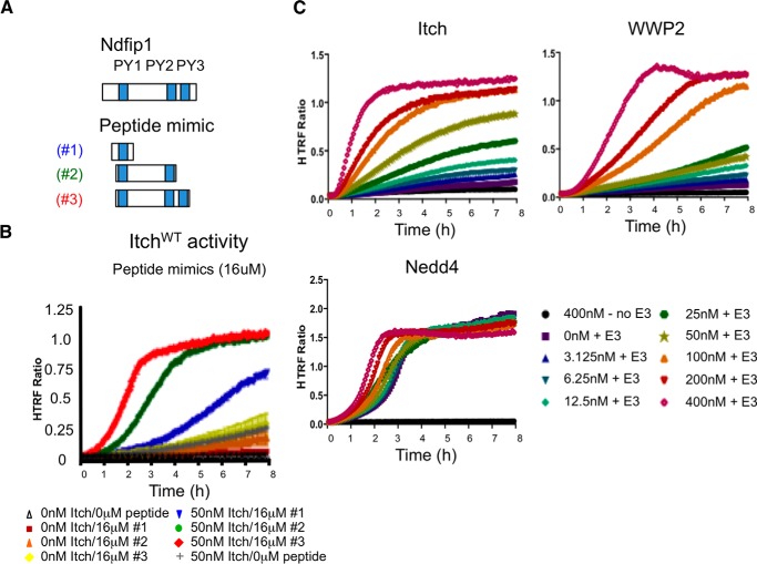 FIGURE 10.