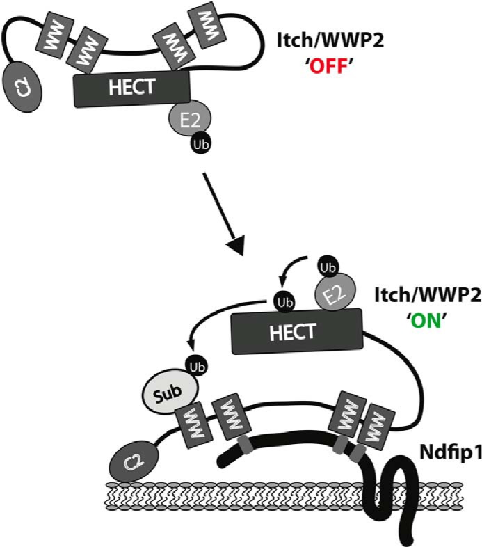 FIGURE 11.