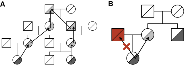 Figure 1