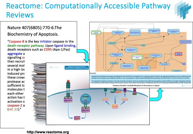 Graphical Abstract