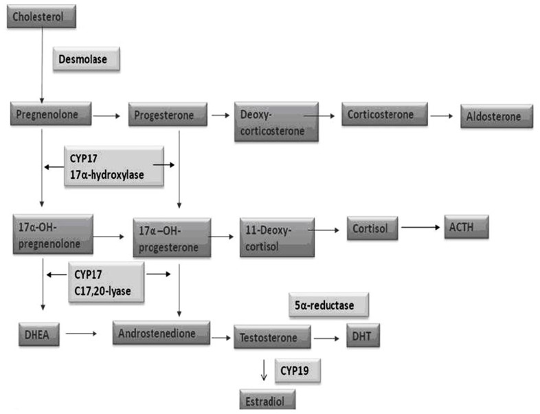 FIGURE 3