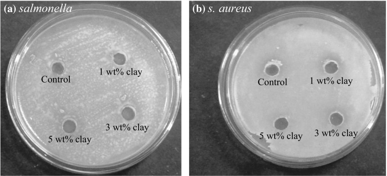 Fig. 9