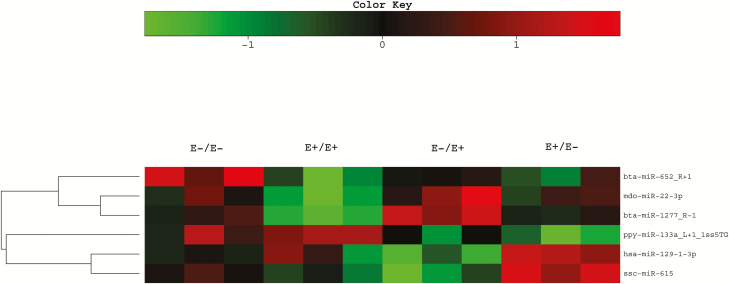 Figure 6.