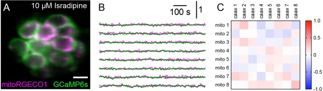 Figure 4—figure supplement 1.