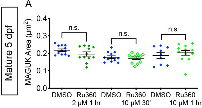 Figure 3—figure supplement 2.