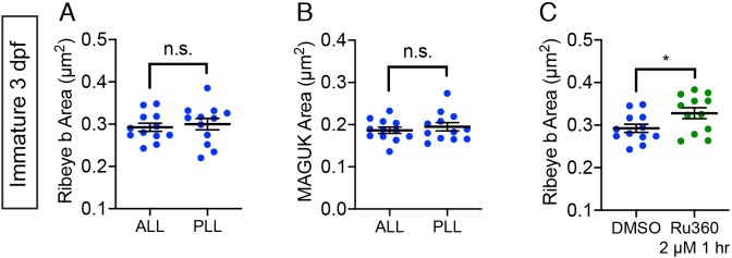 Figure 5—figure supplement 1.