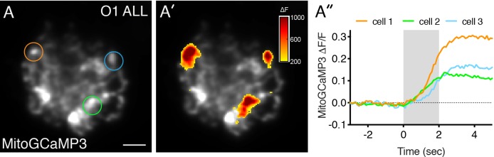 Figure 1—figure supplement 2.