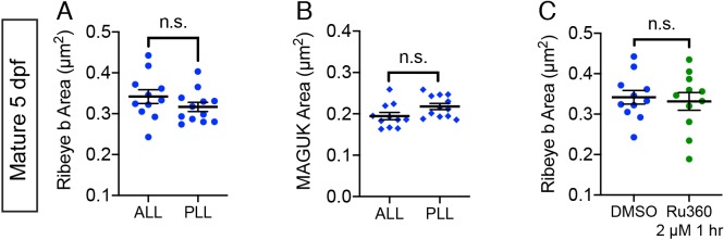 Figure 3—figure supplement 1.