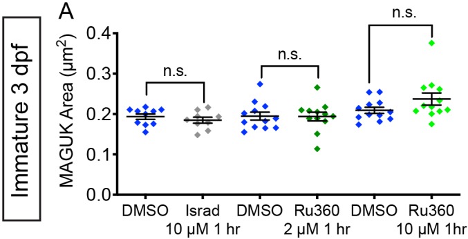 Figure 5—figure supplement 2.