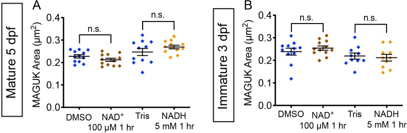 Figure 7—figure supplement 1.