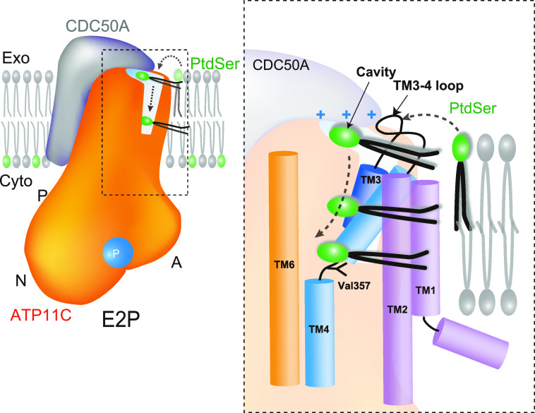 Figure 6.