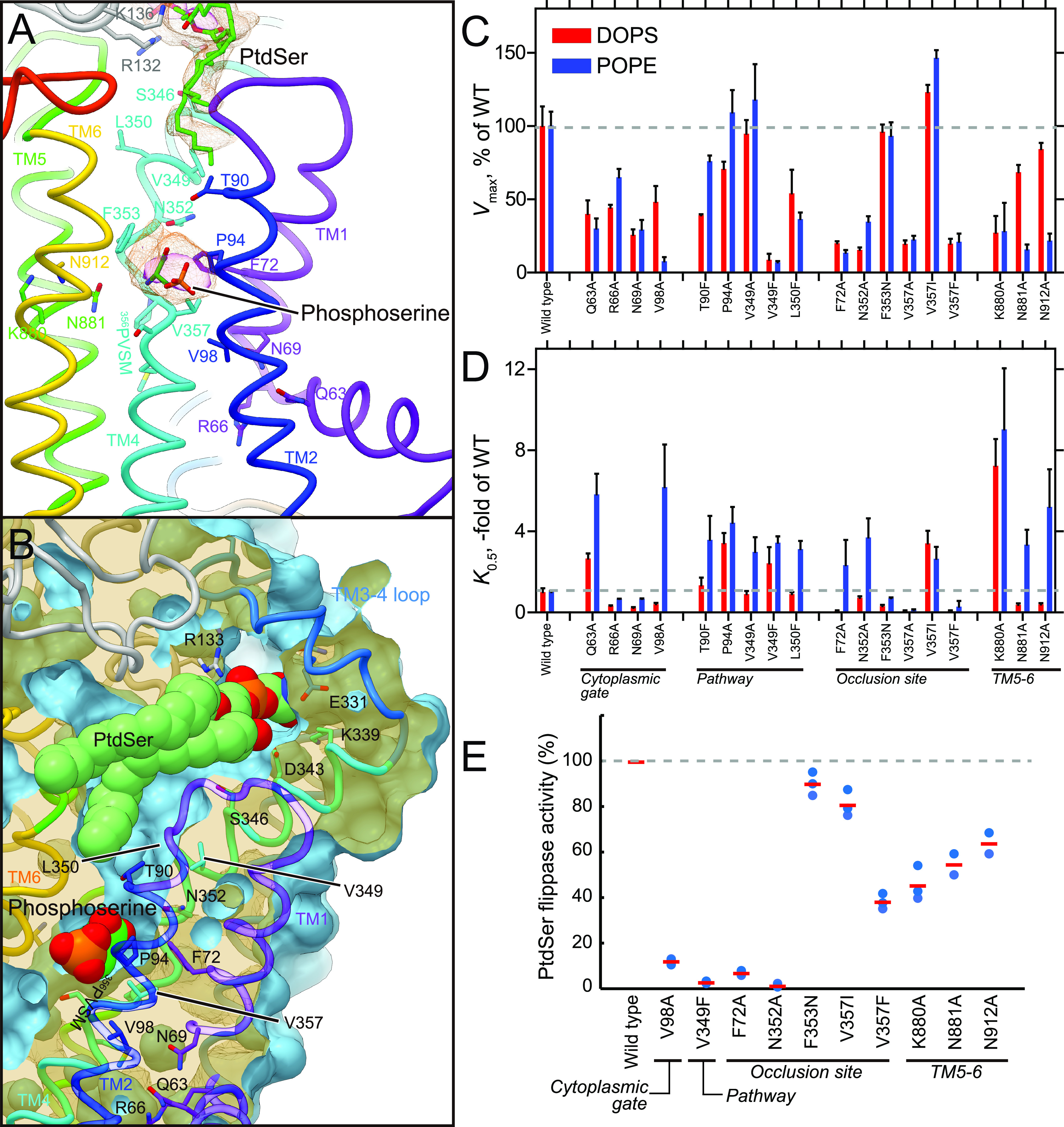 Figure 4.