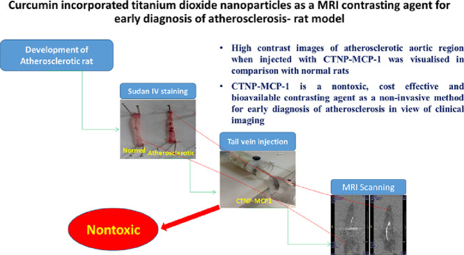 Image, graphical abstract