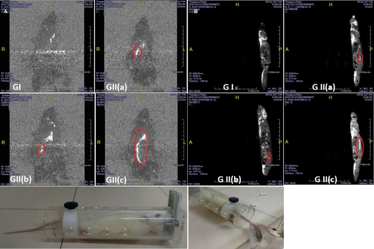 Fig. 2: