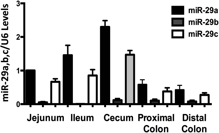 Figure 6.